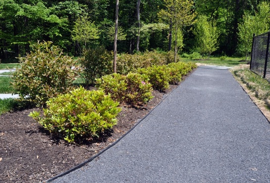 Landscape Project Walkway