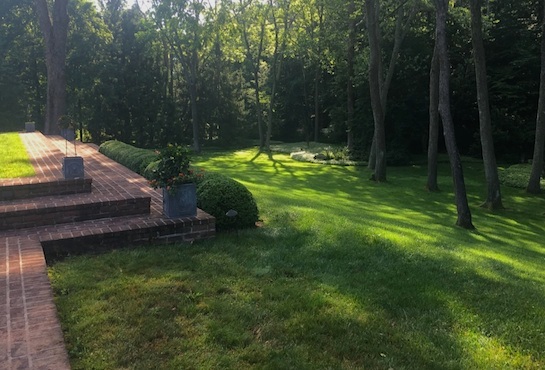 Lawn Care