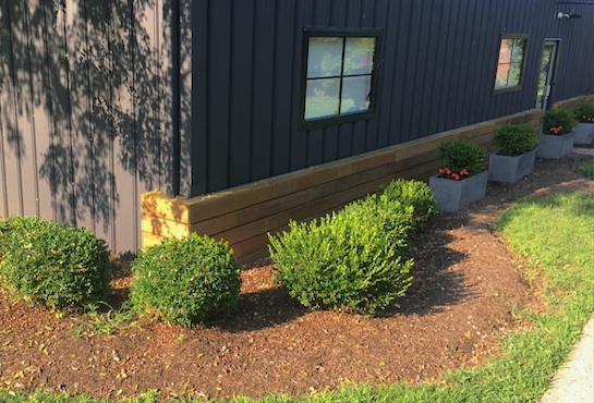 Shrub Planting