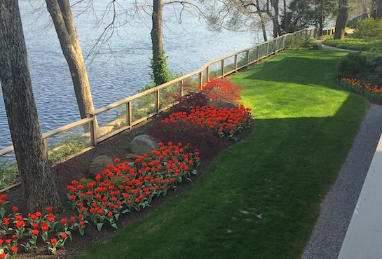 Estate Maintenance