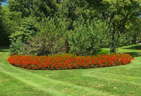 Flower Beds
